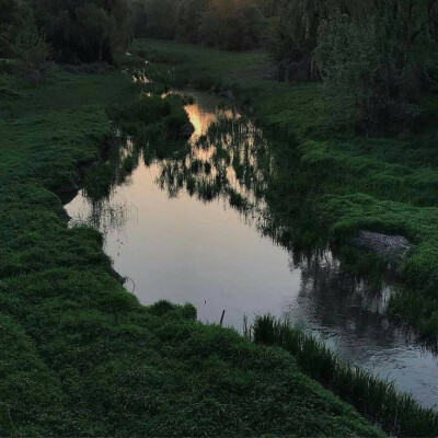 壁纸 背景