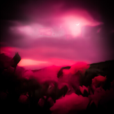 赵美延
cr.明筱沐