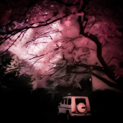 赵美延
cr.明筱沐