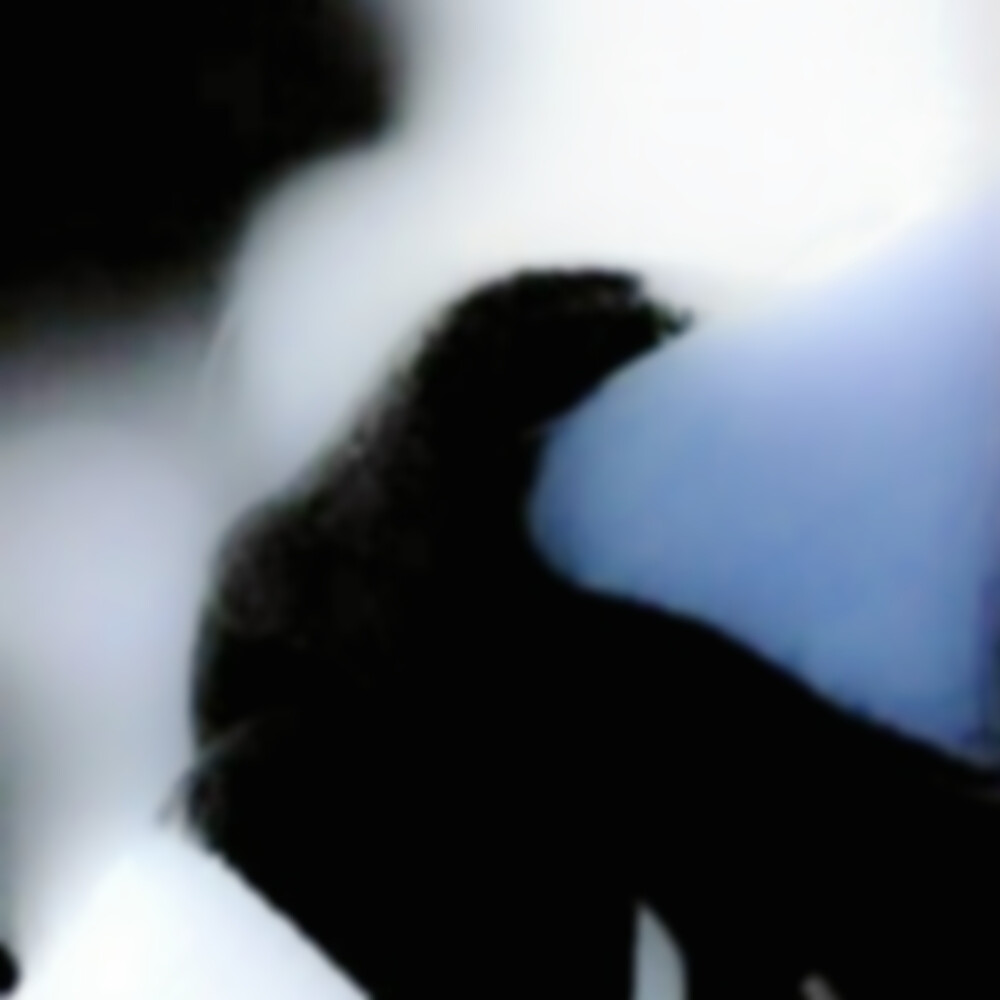 
渋谷の街に朝が降る 晨光When you around me？