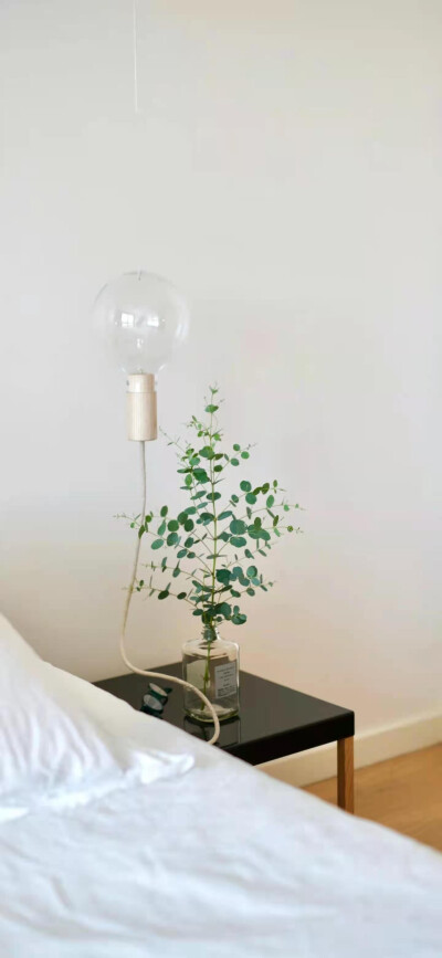 收集美好
素材来源于网络.侵删