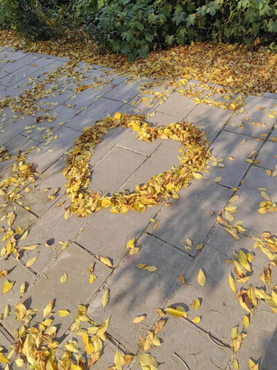 收集美好
素材来源于网络.侵删