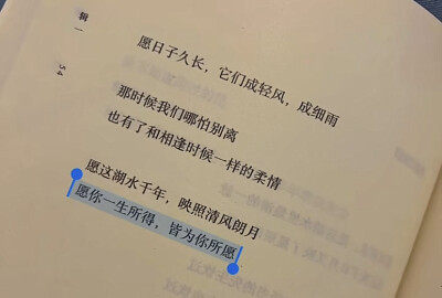 给我道歉