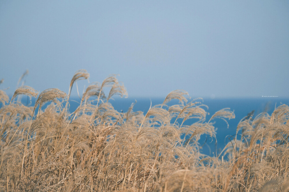 海浪、山
手机桌面壁纸