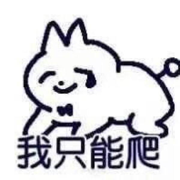 领结猫表情包