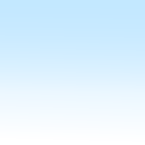 做公主手里的花。