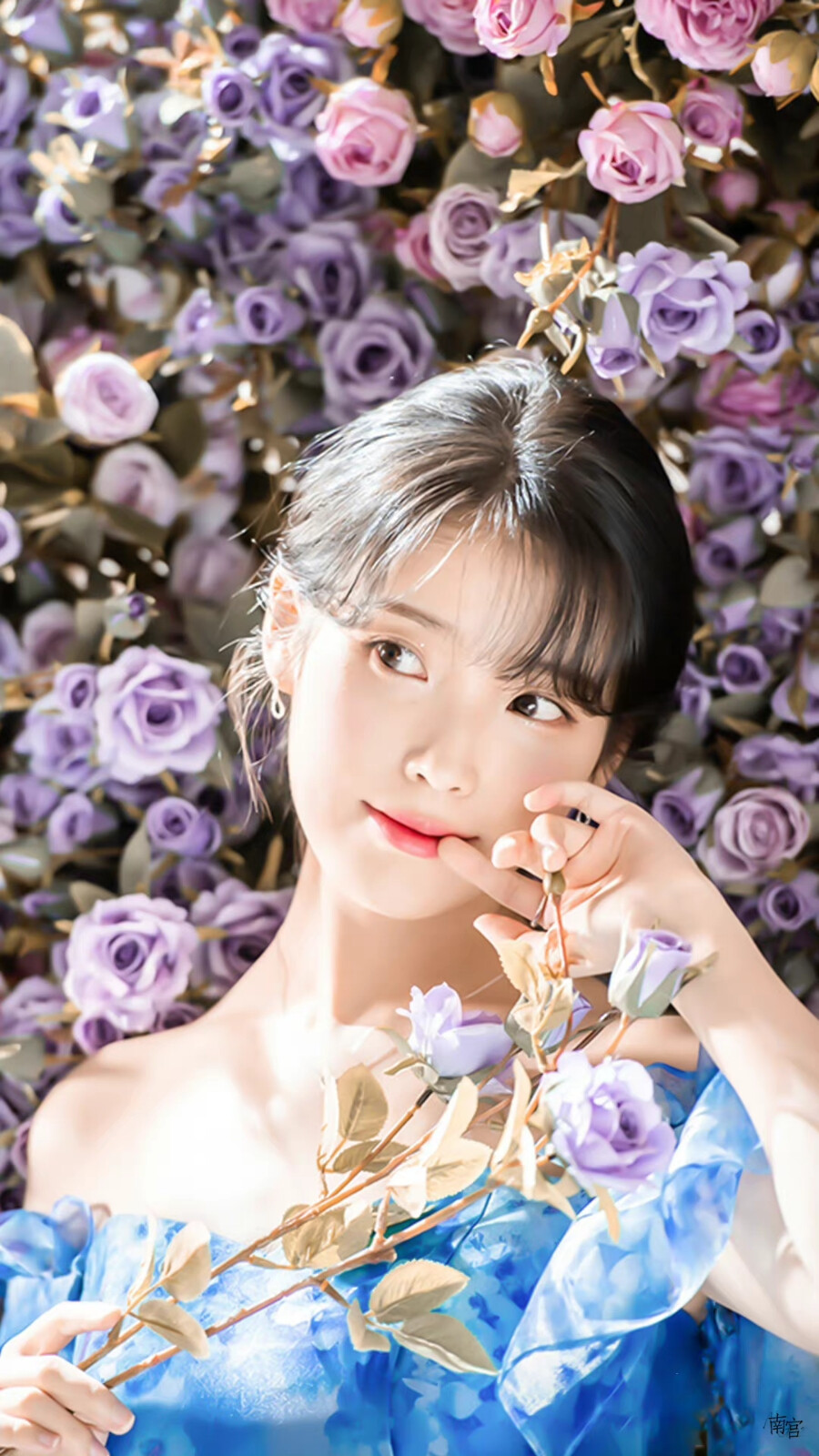 IU | 真露烧酒
cr:__南宫_