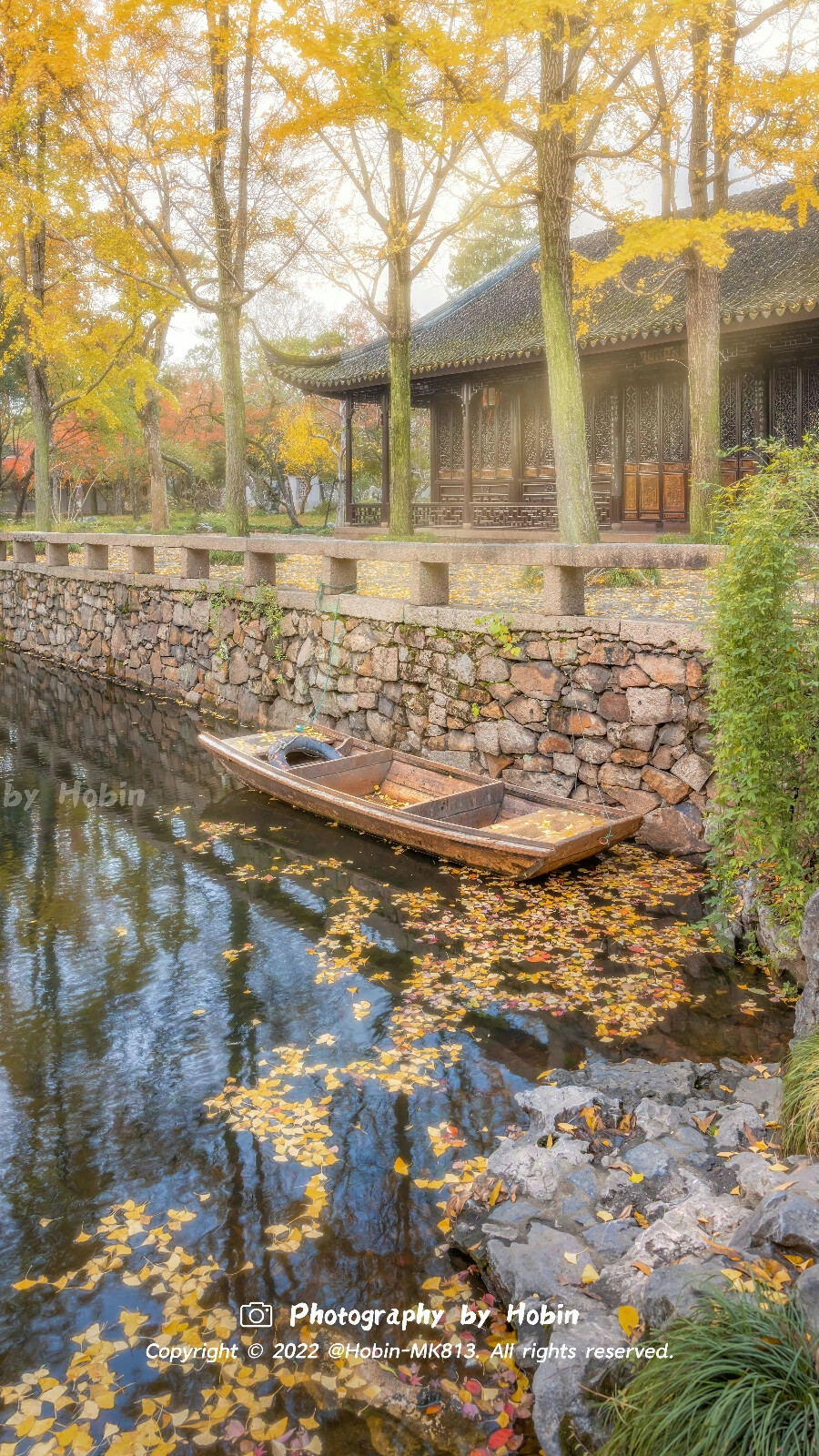 银杏树下最江南，片片黄叶落纷飞 满地碎金，是苏州城最浪漫的底色
by.@Hobin-MK813