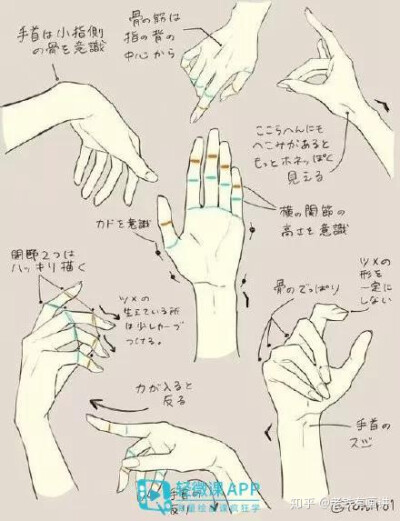 手
