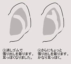 耳朵保姆级教学