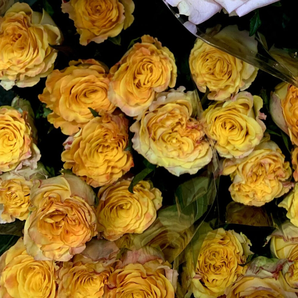 如果可以送你花