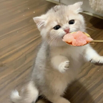 头