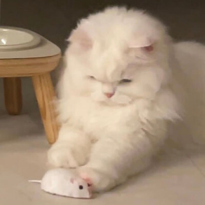 头