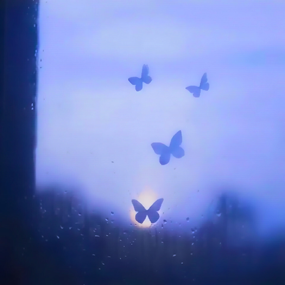 名井南.·什么时候再见一面
原DooDoo_22
