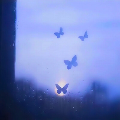 名井南.·什么时候再见一面
原DooDoo_22
