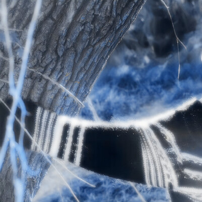 Schuster: Singur (舒斯特尔：辛古尔)