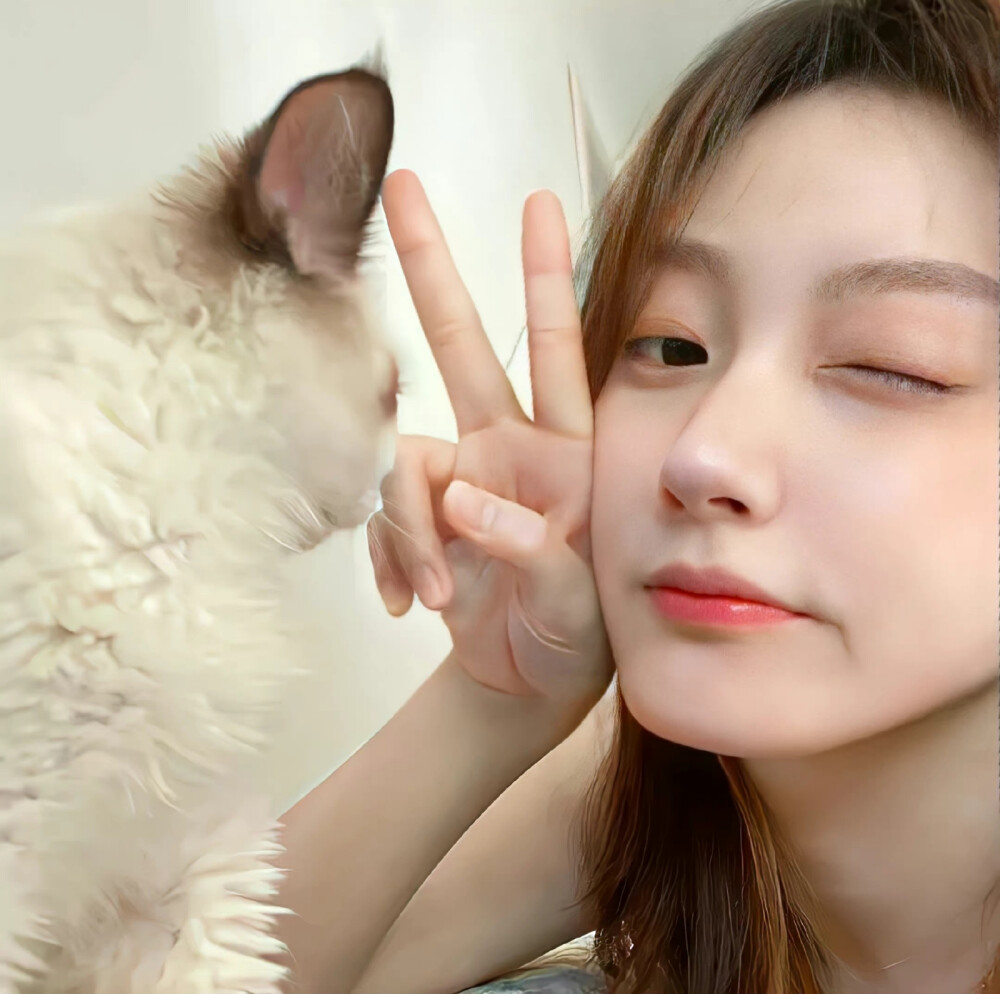 小狗 向喜欢的人低头是场冒险