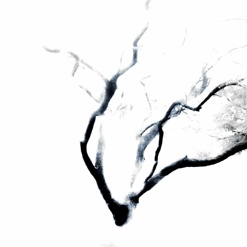 “The sound of waves”—海浪