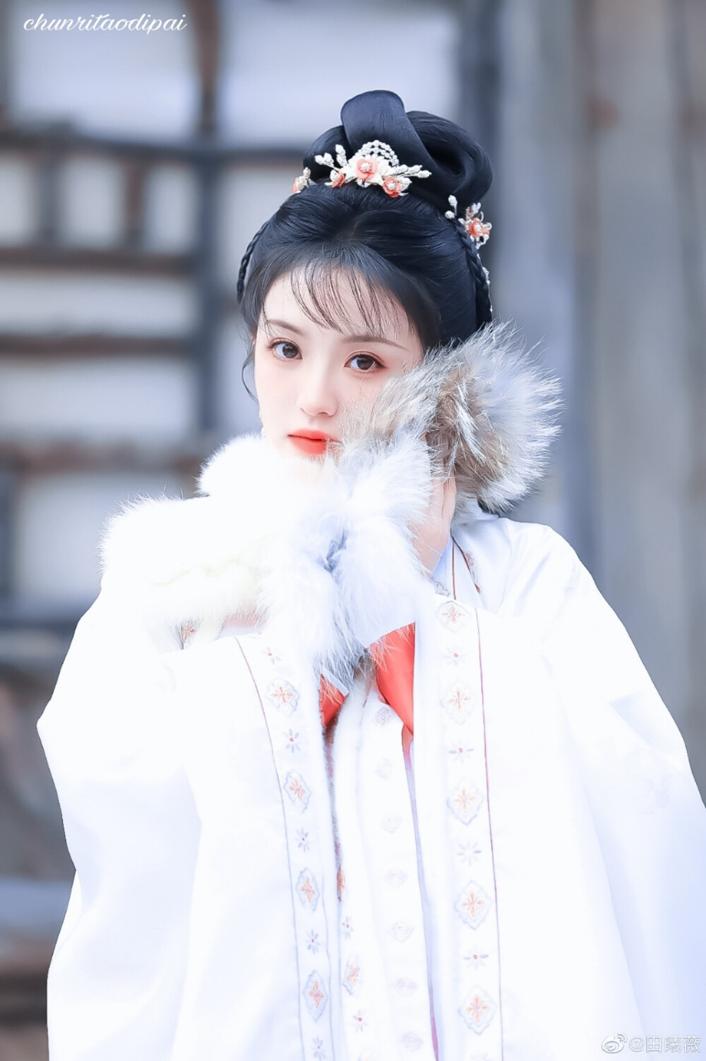 
雪地小精灵