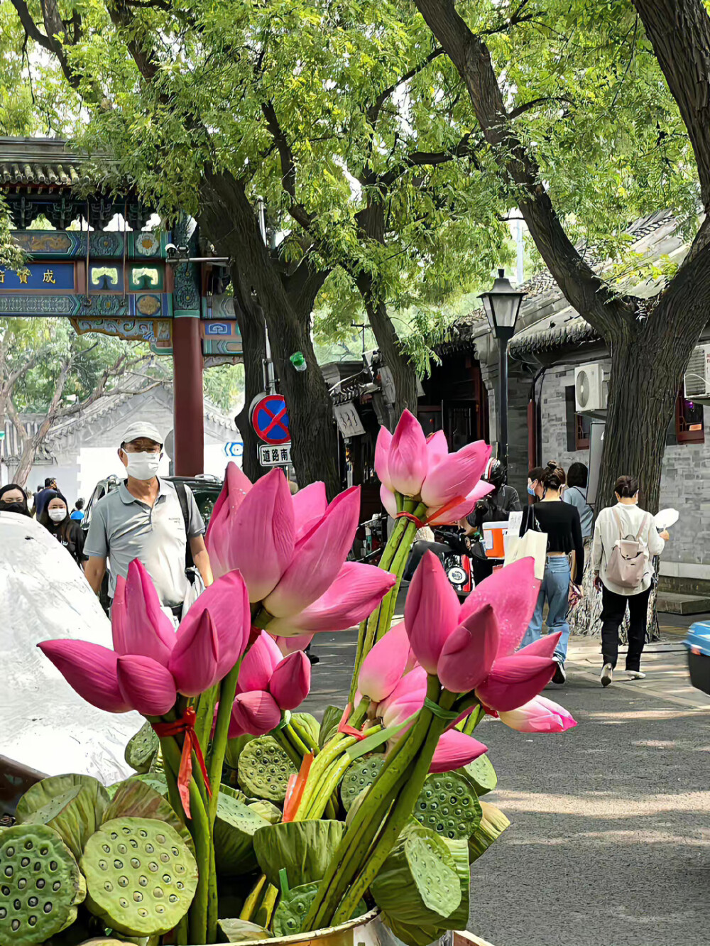 花朵花束壁纸背景
