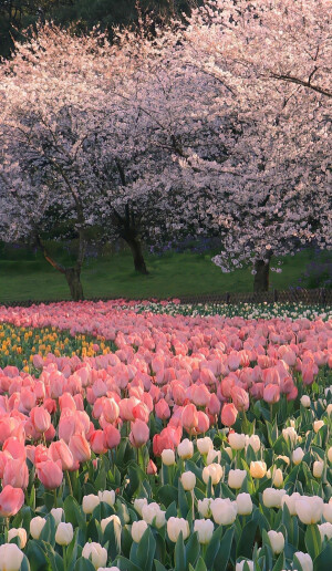 不笑运气差，一笑脸就大