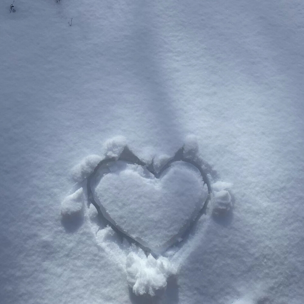 雪地