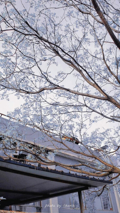 云天收夏色 木叶落秋声。
图源网络.侵删。