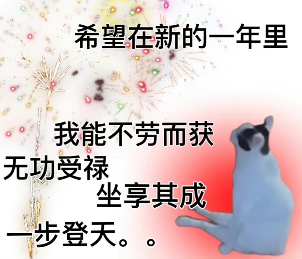 猫狗