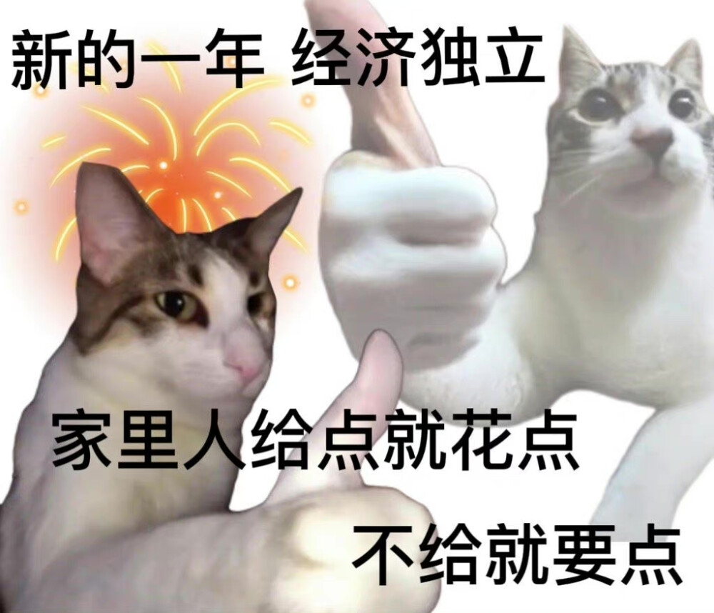 猫狗