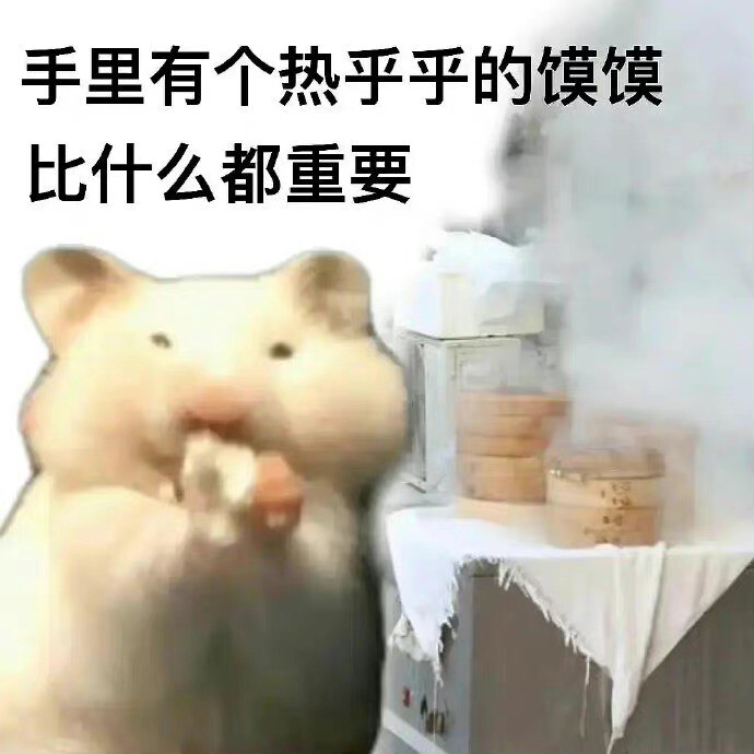 沙雕鼠鼠表情包