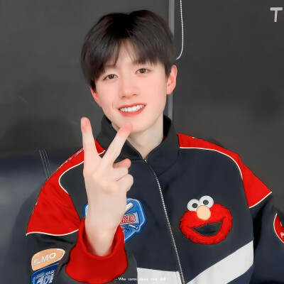 TF家族