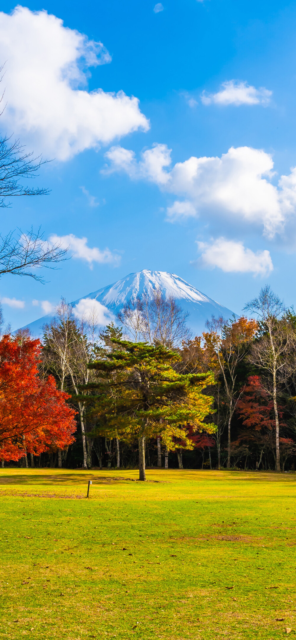 风景