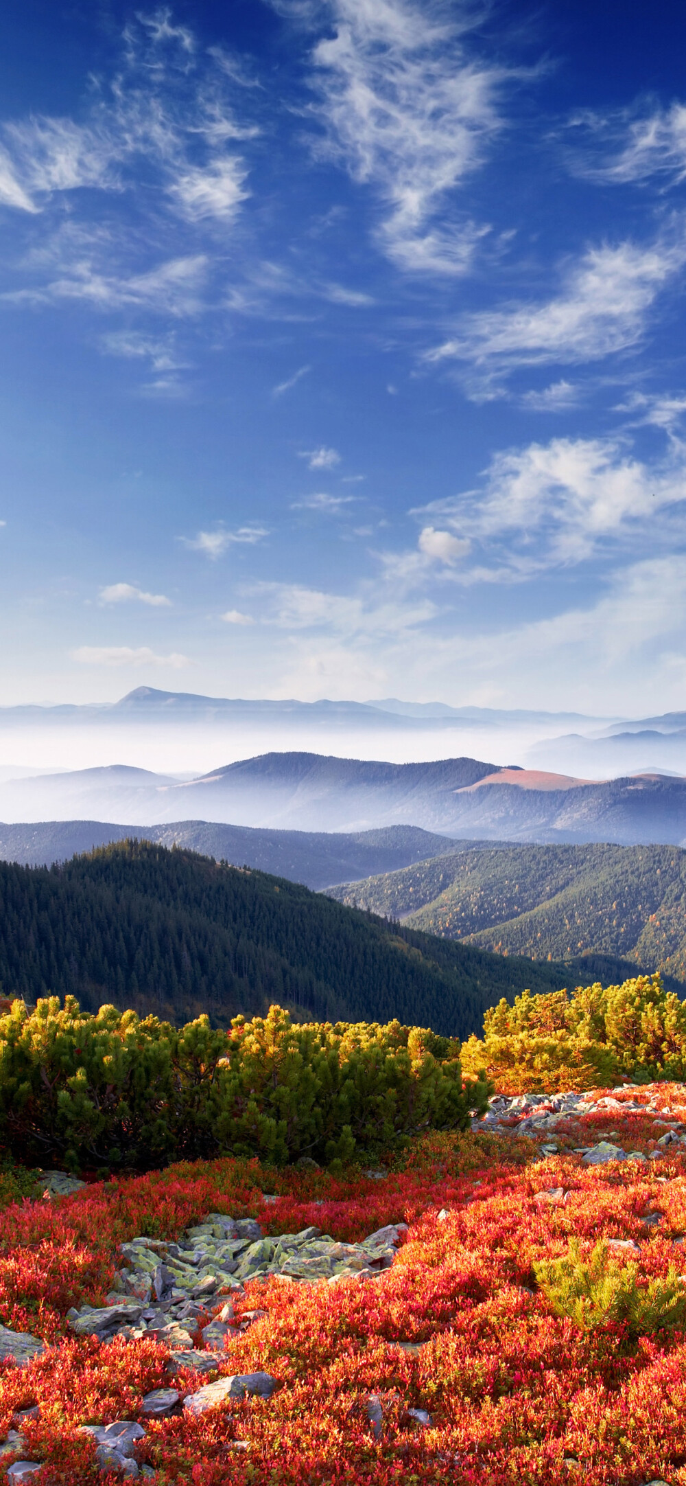 风景