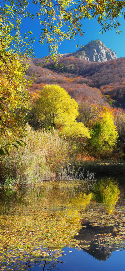 风景