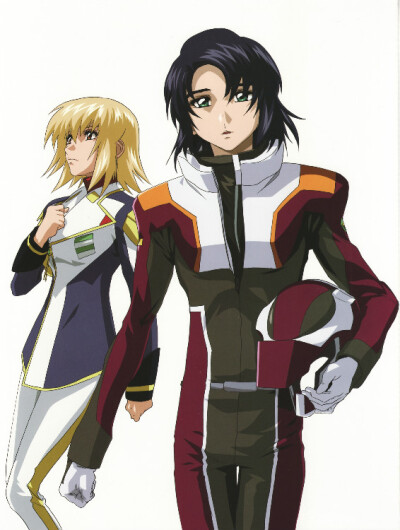 高达Seed＆Seed Destiny