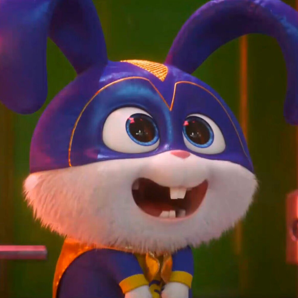 爱宠大机密——兔老大