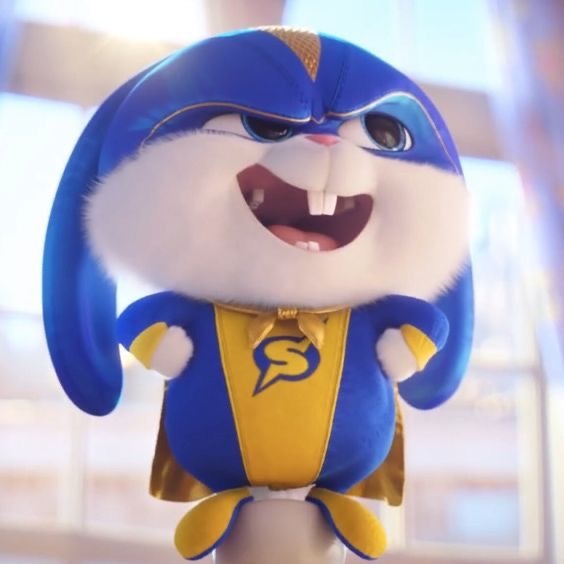 爱宠大机密——兔老大