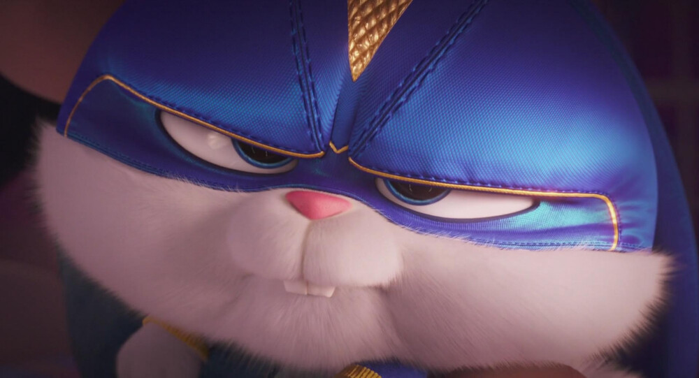 爱宠大机密——兔老大