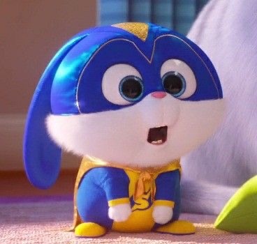 爱宠大机密——兔老大