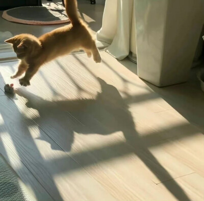 WeChat背景图