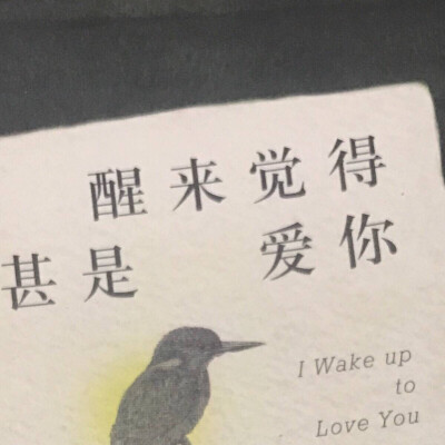 金智秀套图可二改/简介