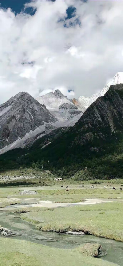 冷淡风壁纸