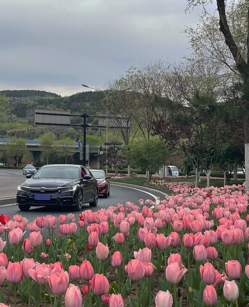 好安静想和你一起看海说说心里话。
图源网络.侵删。