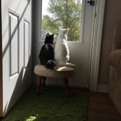 图源网络，侵权删