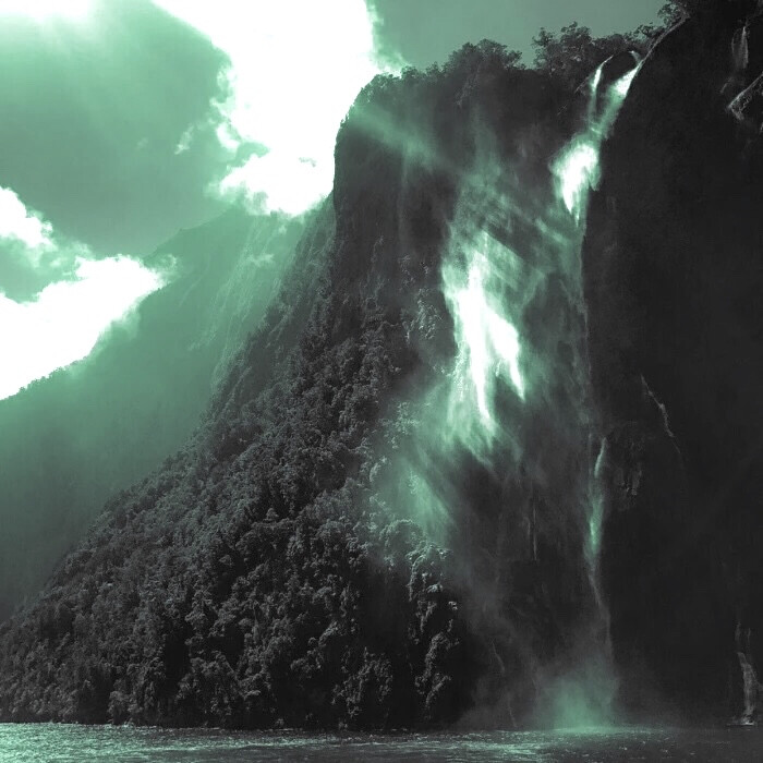 Aujourd'hui_#金盏花丶マリーゴールド