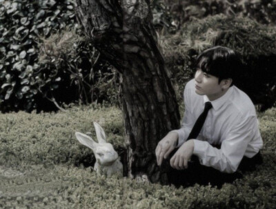 BTS 防弹少年团 JUNGKOOK 田桢国 田柾国