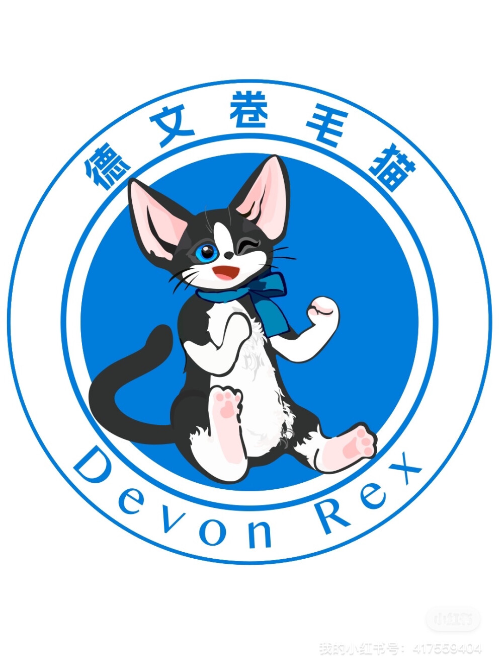 德文卷毛猫