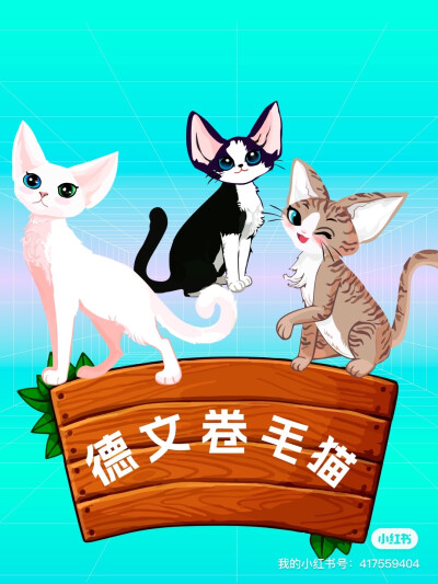 德文卷毛猫