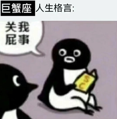 巨蟹座情绪梗图