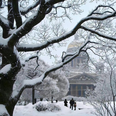 冬季系列背景